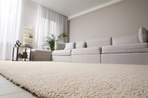 Living room interior with stylish furniture, focus on soft carpet Affordable 2 bedroom condos Minneapolis under $300K